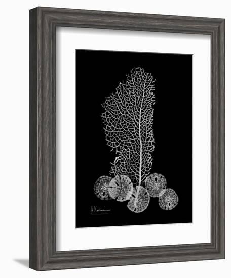 Sea Xray-Albert Koetsier-Framed Premium Giclee Print