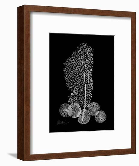 Sea Xray-Albert Koetsier-Framed Premium Giclee Print