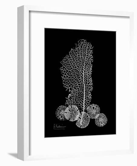 Sea Xray-Albert Koetsier-Framed Premium Giclee Print