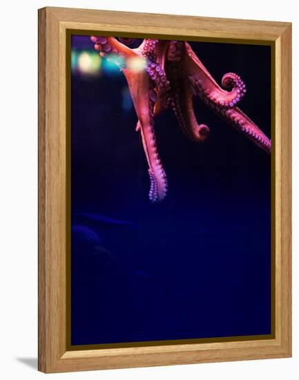 sea-Johan Lilja-Framed Premier Image Canvas