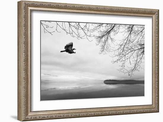 Seabeck Winter I-Kathy Mahan-Framed Photographic Print