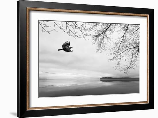 Seabeck Winter I-Kathy Mahan-Framed Photographic Print