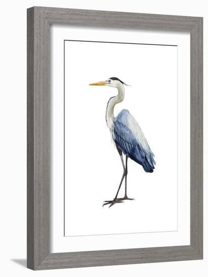 Seabird Heron I-Grace Popp-Framed Art Print