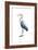 Seabird Heron I-Grace Popp-Framed Art Print