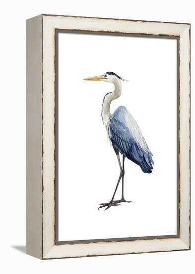 Seabird Heron I-Grace Popp-Framed Stretched Canvas