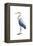 Seabird Heron I-Grace Popp-Framed Stretched Canvas