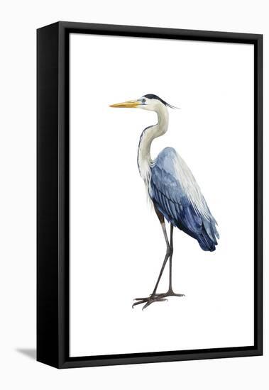 Seabird Heron I-Grace Popp-Framed Stretched Canvas