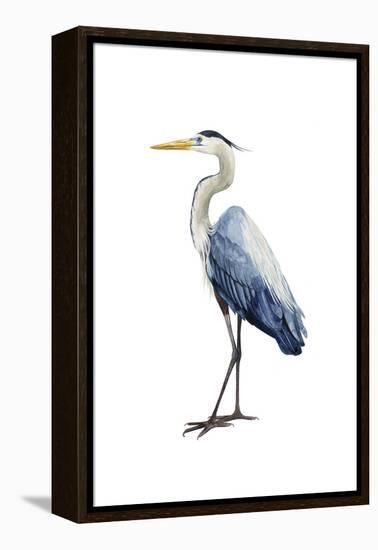 Seabird Heron I-Grace Popp-Framed Stretched Canvas
