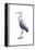 Seabird Heron I-Grace Popp-Framed Stretched Canvas