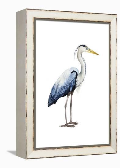 Seabird Heron II-Grace Popp-Framed Stretched Canvas