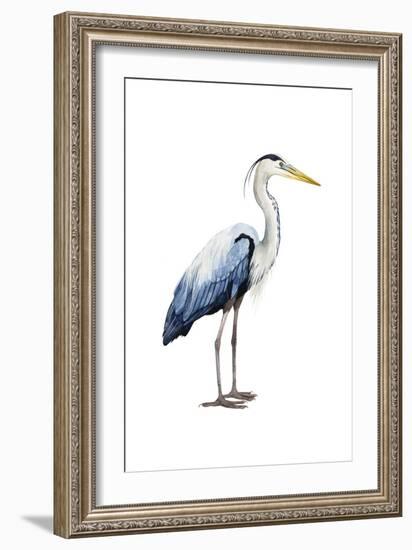 Seabird Heron II-Grace Popp-Framed Art Print