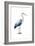 Seabird Heron II-Grace Popp-Framed Art Print