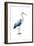 Seabird Heron II-Grace Popp-Framed Art Print