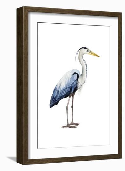 Seabird Heron II-Grace Popp-Framed Art Print