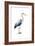 Seabird Heron II-Grace Popp-Framed Art Print