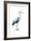 Seabird Heron II-Grace Popp-Framed Art Print