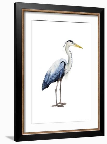 Seabird Heron II-Grace Popp-Framed Art Print