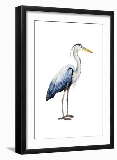 Seabird Heron II-Grace Popp-Framed Art Print