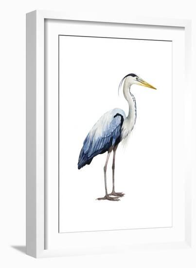 Seabird Heron II-Grace Popp-Framed Art Print