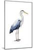 Seabird Heron II-Grace Popp-Mounted Art Print