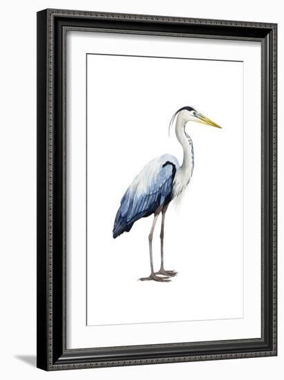 Seabird Heron II-Grace Popp-Framed Art Print
