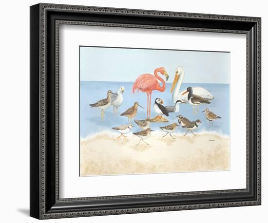 Seabird Summit-Wendy Russell-Framed Art Print