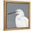 Seabird Thoughts 1-Norman Wyatt Jr^-Framed Stretched Canvas