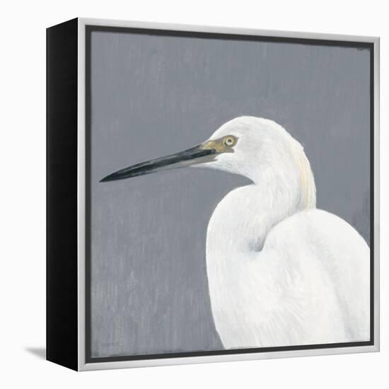 Seabird Thoughts 1-Norman Wyatt Jr^-Framed Stretched Canvas