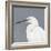 Seabird Thoughts 1-Norman Wyatt Jr^-Framed Premium Giclee Print