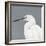 Seabird Thoughts 1-Norman Wyatt Jr^-Framed Premium Giclee Print