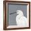 Seabird Thoughts 1-Norman Wyatt Jr^-Framed Premium Giclee Print