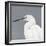 Seabird Thoughts 1-Norman Wyatt Jr^-Framed Premium Giclee Print