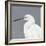 Seabird Thoughts 1-Norman Wyatt Jr^-Framed Premium Giclee Print