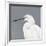 Seabird Thoughts 1-Norman Wyatt Jr^-Framed Giclee Print