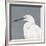 Seabird Thoughts 1-Norman Wyatt Jr^-Framed Giclee Print