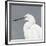 Seabird Thoughts 1-Norman Wyatt Jr^-Framed Giclee Print