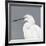 Seabird Thoughts 1-Norman Wyatt Jr^-Framed Giclee Print