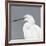 Seabird Thoughts 1-Norman Wyatt Jr^-Framed Giclee Print
