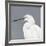 Seabird Thoughts 1-Norman Wyatt Jr^-Framed Giclee Print