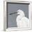 Seabird Thoughts 1-Norman Wyatt Jr^-Framed Giclee Print