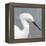 Seabird Thoughts 2-Norman Wyatt Jr.-Framed Stretched Canvas