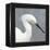 Seabird Thoughts 2-Norman Wyatt Jr.-Framed Stretched Canvas