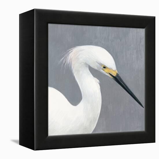 Seabird Thoughts 2-Norman Wyatt Jr.-Framed Stretched Canvas