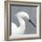 Seabird Thoughts 2-Norman Wyatt Jr.-Framed Art Print