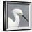 Seabird Thoughts 2-Norman Wyatt Jr.-Framed Art Print