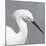 Seabird Thoughts 2-Norman Wyatt Jr.-Mounted Art Print