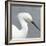 Seabird Thoughts 2-Norman Wyatt Jr.-Framed Art Print