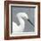 Seabird Thoughts 2-Norman Wyatt Jr.-Framed Art Print