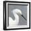 Seabird Thoughts 2-Norman Wyatt Jr.-Framed Art Print