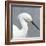 Seabird Thoughts 2-Norman Wyatt Jr.-Framed Premium Giclee Print